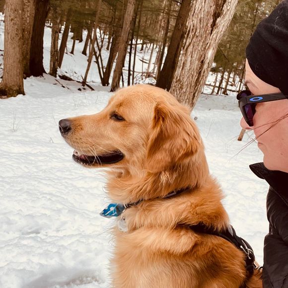 Meet your Posher, Annie - Picture 1 of 1